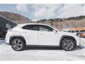 2019 Lexus Other