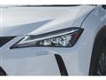 2019 Lexus Other