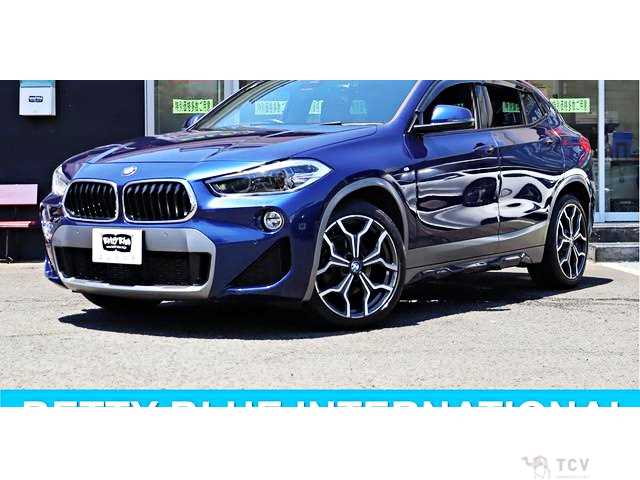 2019 BMW X2