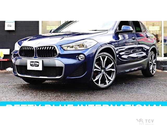 2019 BMW X2
