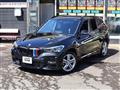 2020 BMW X1