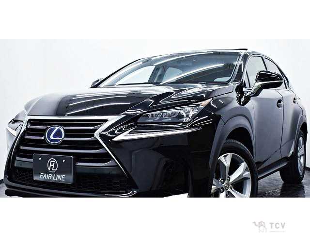 2014 Lexus NX