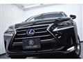 2014 Lexus NX