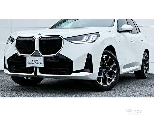 2025 BMW X3
