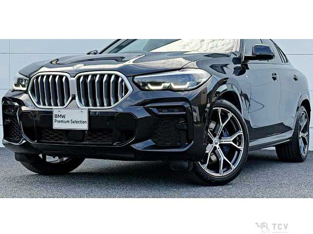 2023 BMW X6