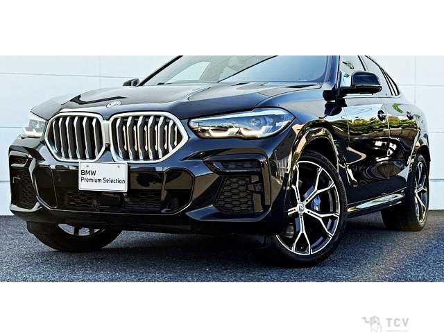 2023 BMW X6