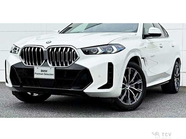 2024 BMW X6