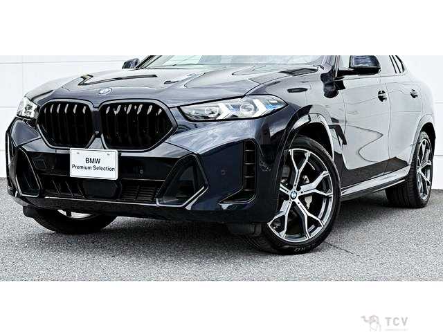 2024 BMW X6