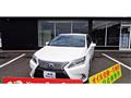 2015 Lexus HS