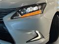 2013 Lexus HS