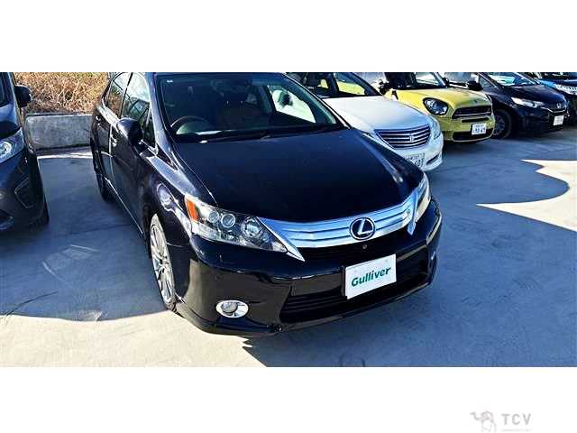 2010 Lexus HS
