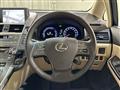 2010 Lexus HS