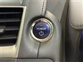 2010 Lexus HS