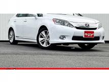 2010 Lexus HS