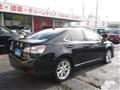 2010 Lexus HS