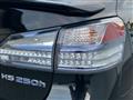2009 Lexus HS