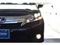 2009 Lexus HS