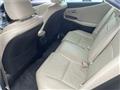 2009 Lexus HS