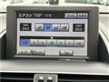 2009 Lexus HS