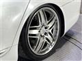 2010 Lexus LS