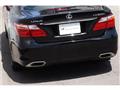 2010 Lexus LS