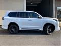 2020 Lexus LX