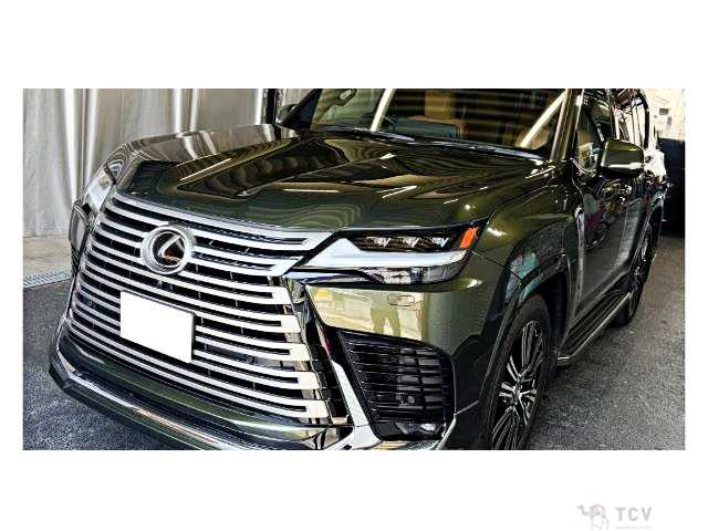 2025 Lexus LX
