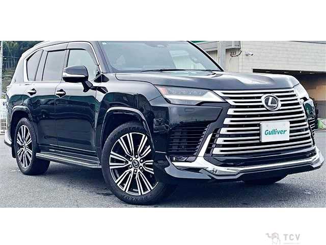 2025 Lexus LX