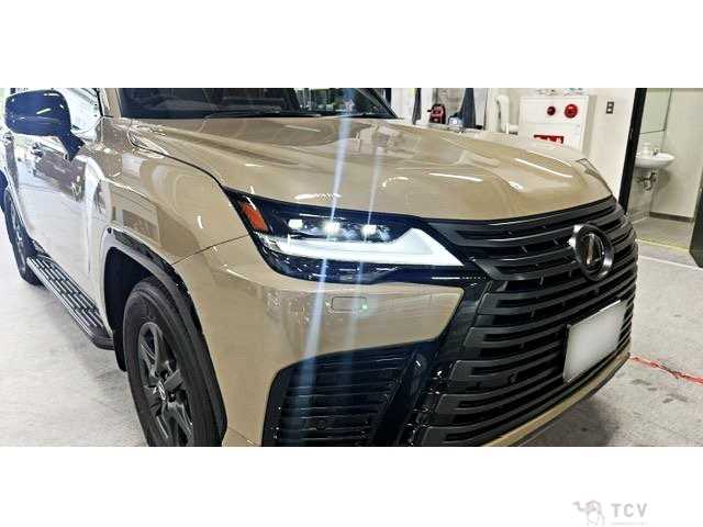 2025 Lexus LX