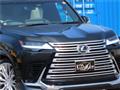2025 Lexus LX