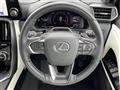2025 Lexus LX