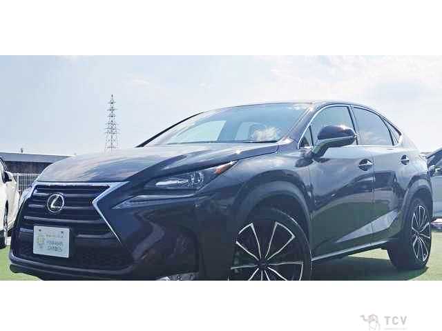 2017 Lexus NX