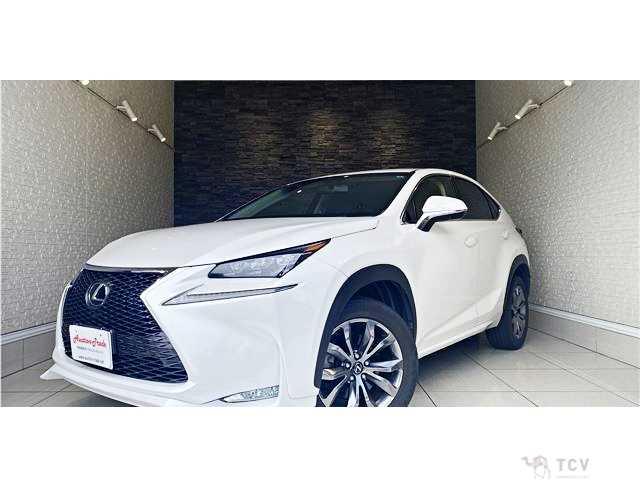 2017 Lexus NX