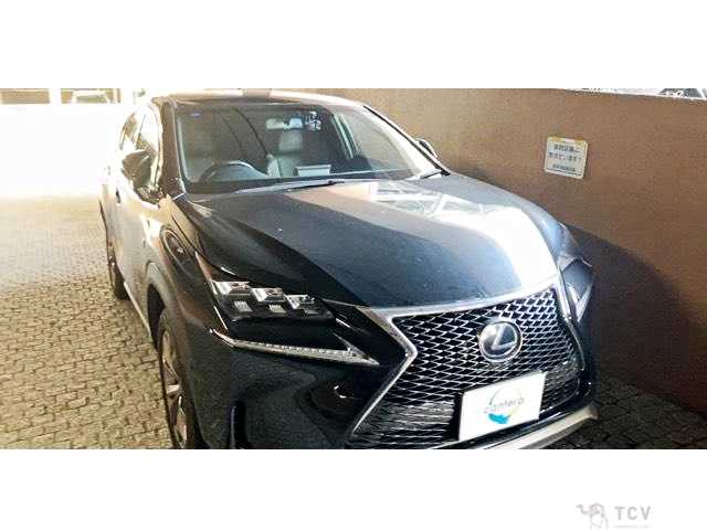 2017 Lexus NX
