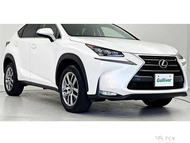 2017 Lexus NX