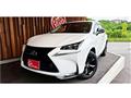 2017 Lexus NX