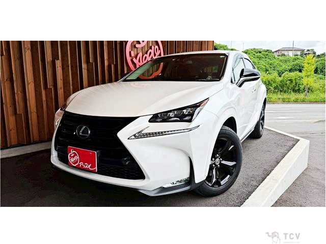 2017 Lexus NX