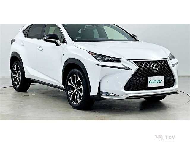 2017 Lexus NX