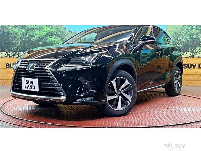 2017 Lexus NX