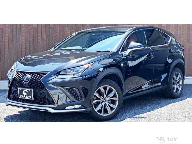2017 Lexus NX