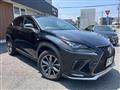 2017 Lexus NX