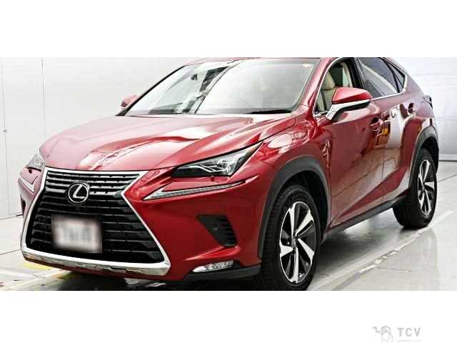 2017 Lexus NX