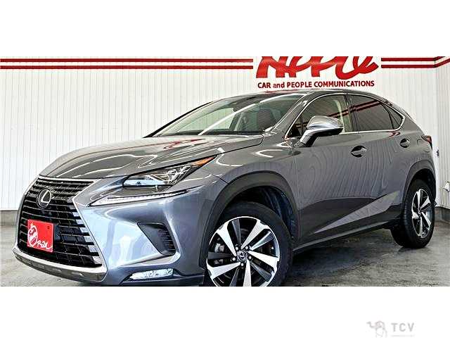 2017 Lexus NX