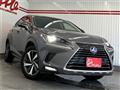 2017 Lexus NX
