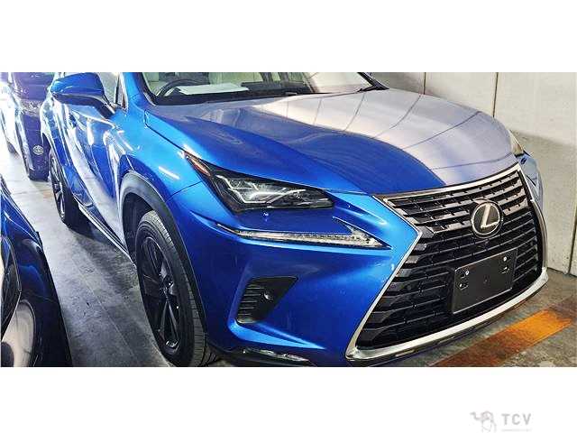 2017 Lexus NX