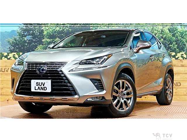 2017 Lexus NX