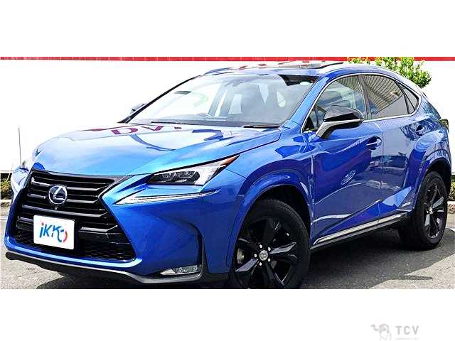 2017 Lexus NX