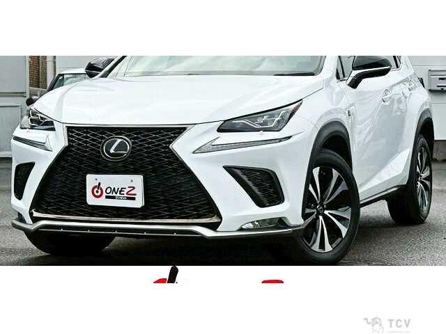 2017 Lexus NX