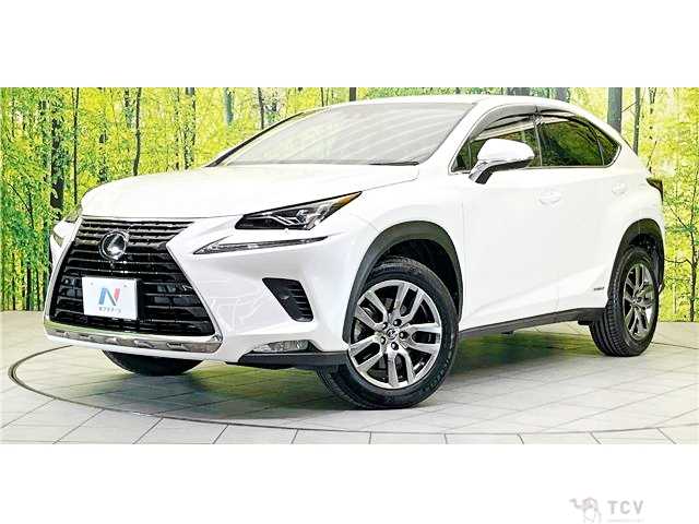 2017 Lexus NX