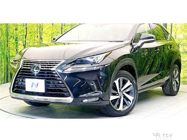 2017 Lexus NX